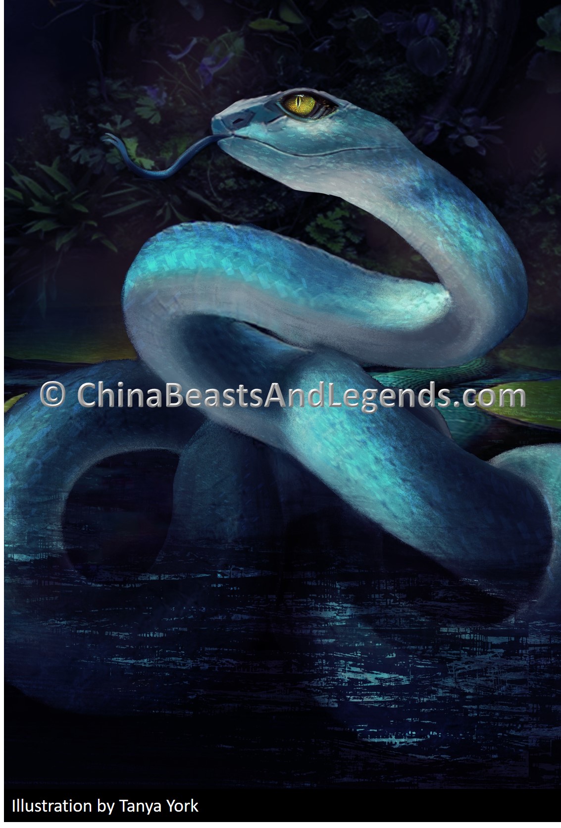 Blue Snake 蓝色的蛇.jpg