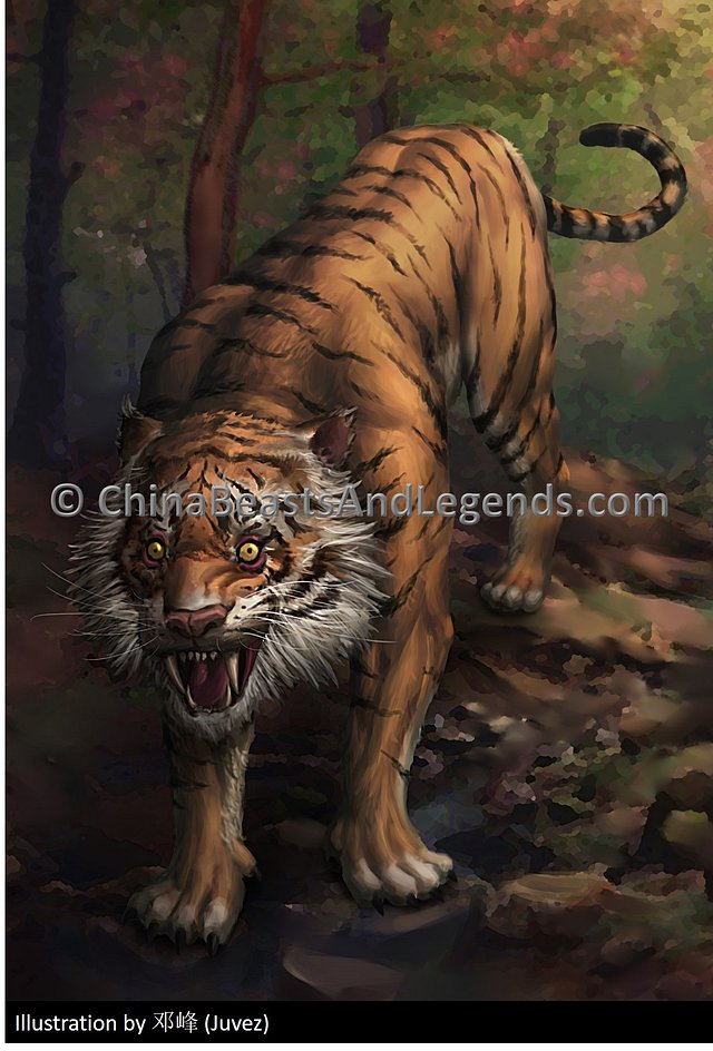 Tiger 老虎 Lǎo Hǔ China Beasts And Legends