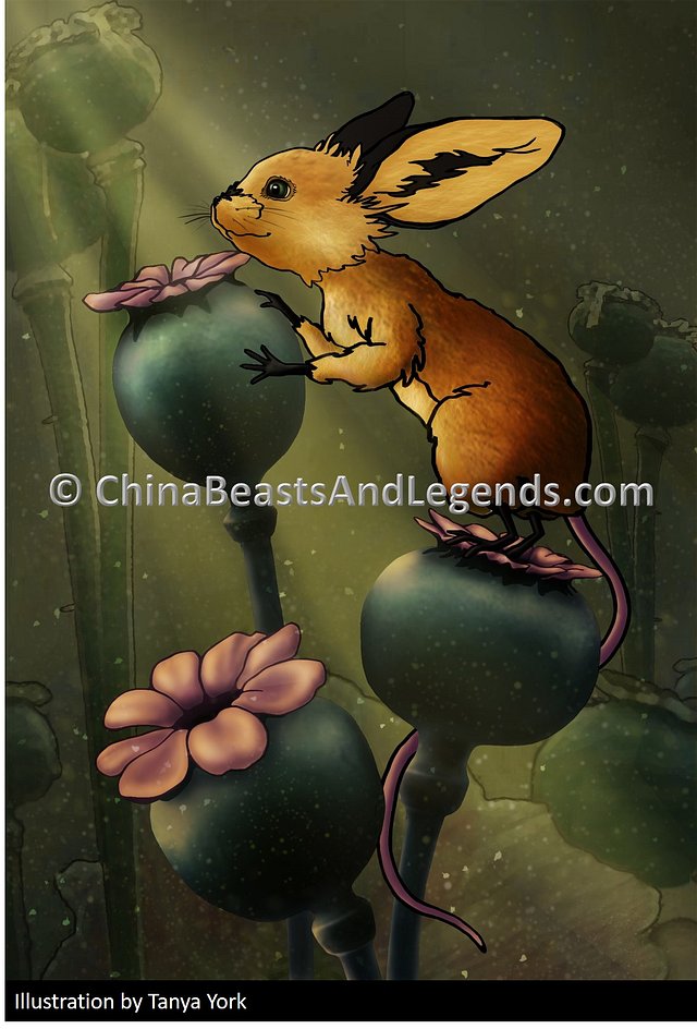 Er Shu 耳鼠 (ěr shǔ) - China Beasts and Legends Er Shu 耳鼠 (ěr shǔ) - China Beasts and Legends